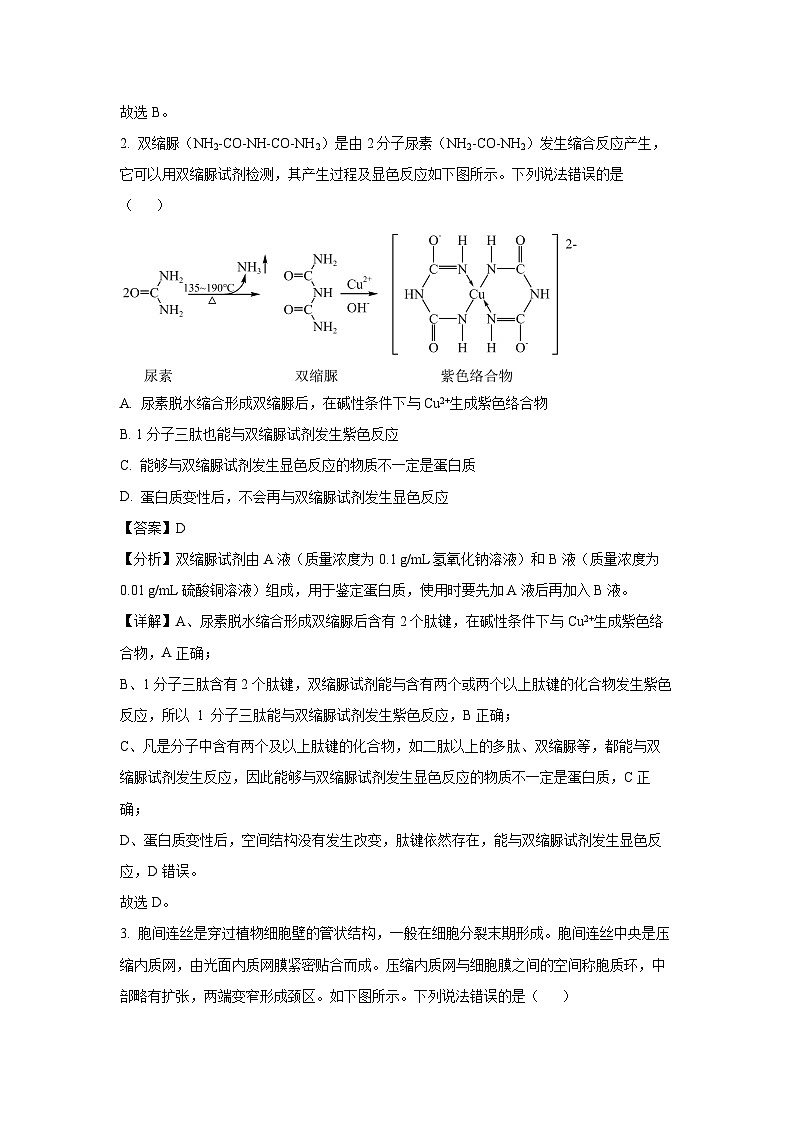 山东名校考试联盟 2024-2025学年高三上学期期中检测生物试卷（解析版）第2页