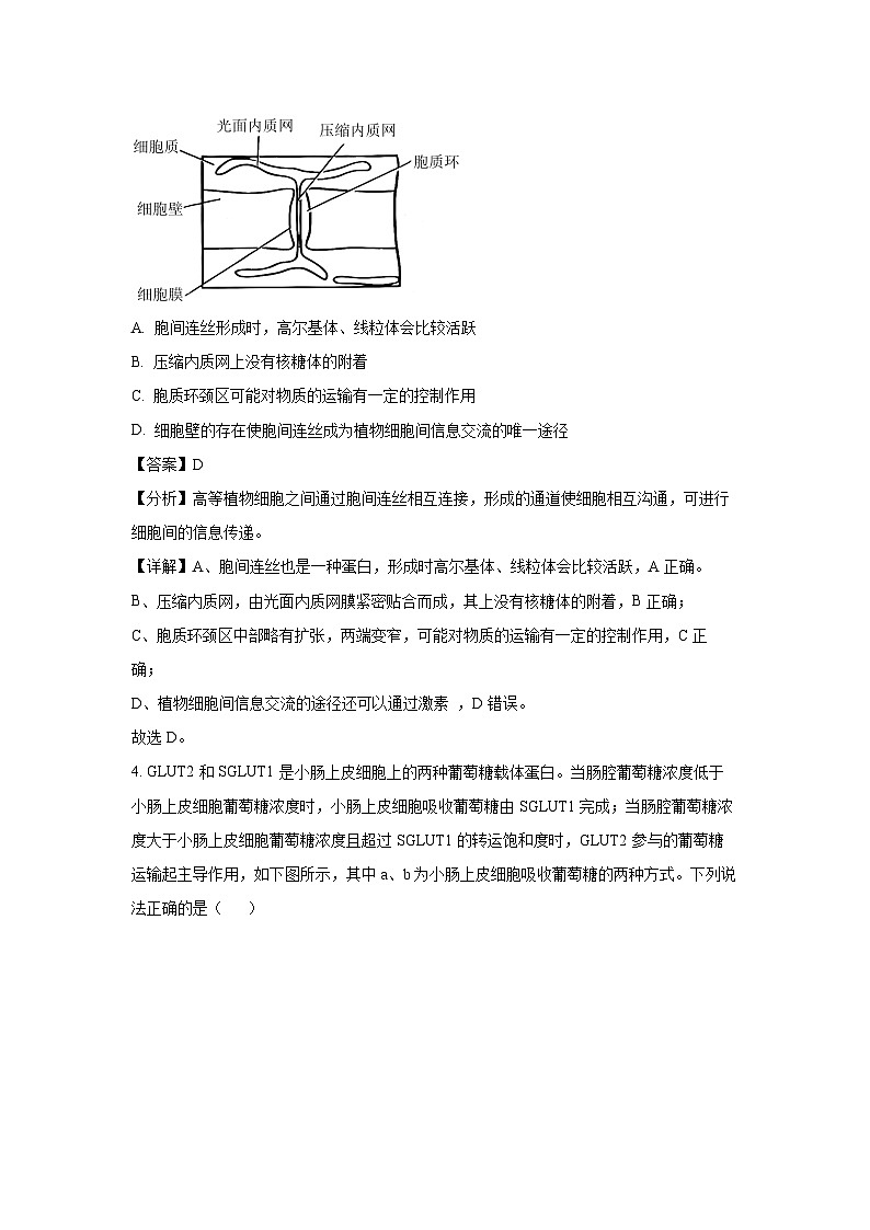 山东名校考试联盟 2024-2025学年高三上学期期中检测生物试卷（解析版）第3页