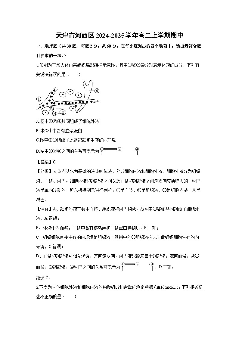 天津市河西区2024-2025学年高二上学期期中生物试卷（解析版）第1页