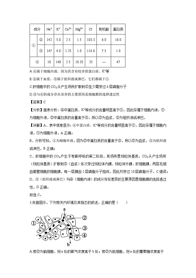 天津市河西区2024-2025学年高二上学期期中生物试卷（解析版）第2页