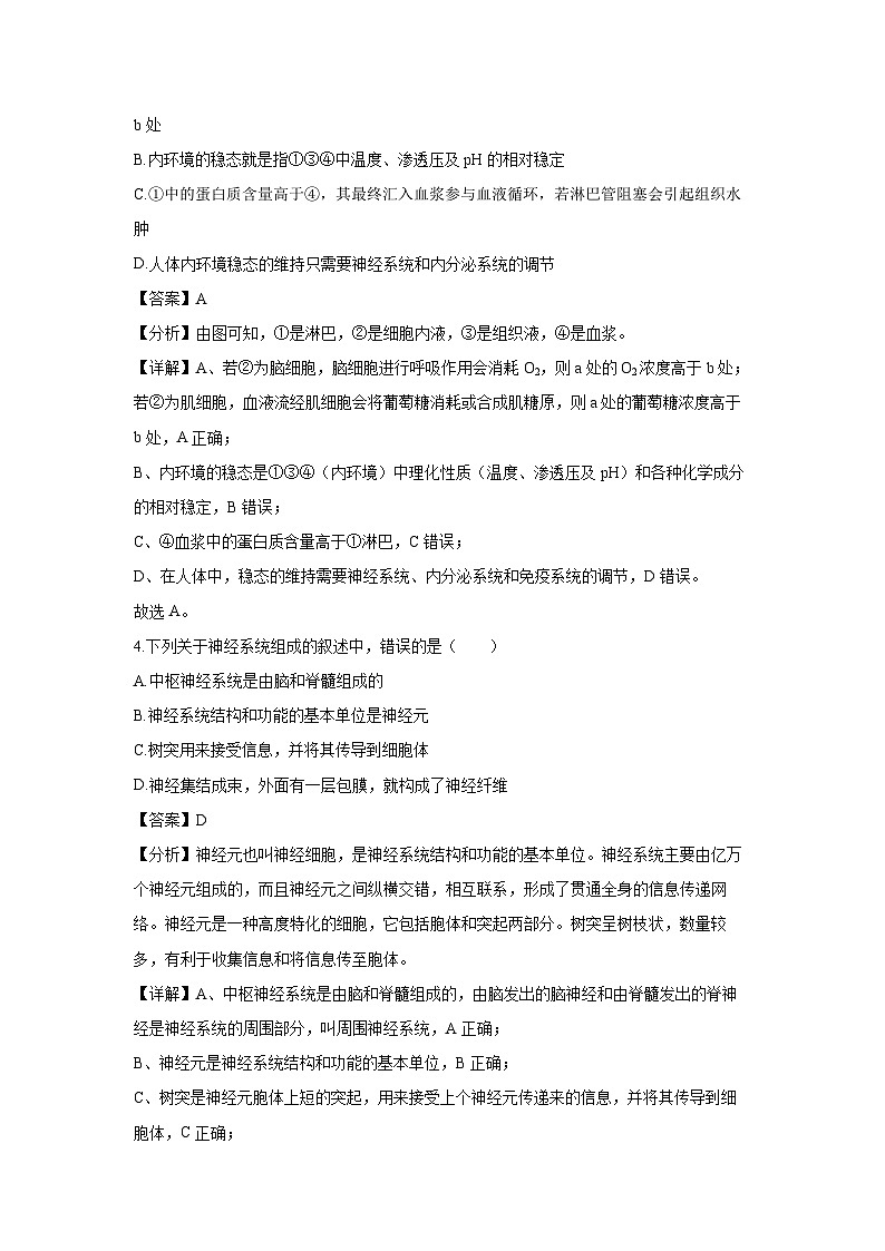 天津市河西区2024-2025学年高二上学期期中生物试卷（解析版）第3页