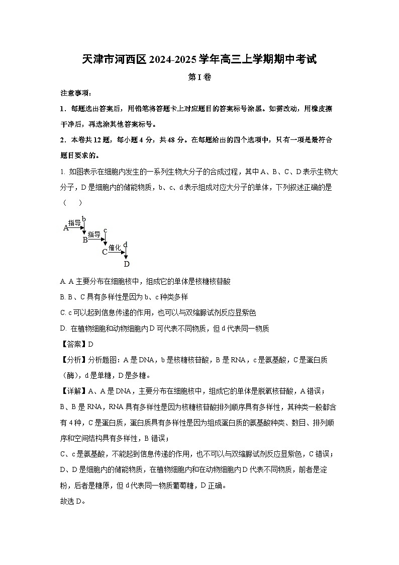 天津市河西区2024-2025学年高三上学期期中考试生物试卷（解析版）第1页