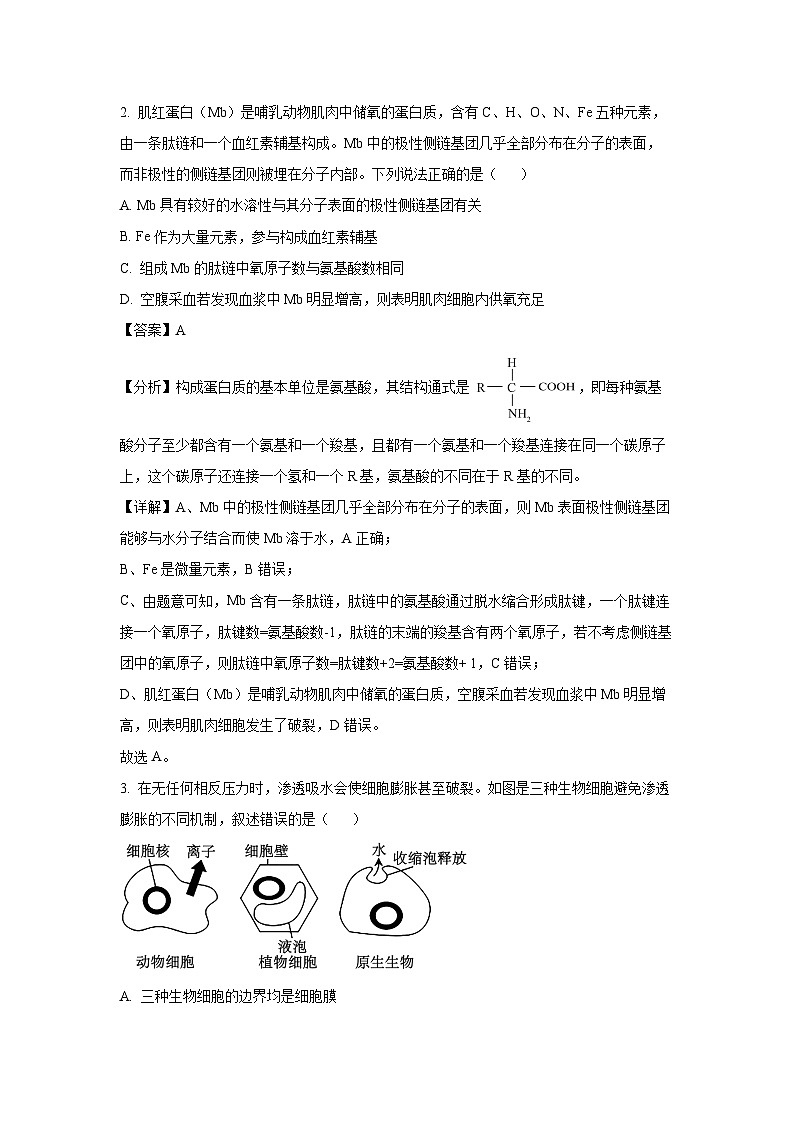 天津市河西区2024-2025学年高三上学期期中考试生物试卷（解析版）第2页