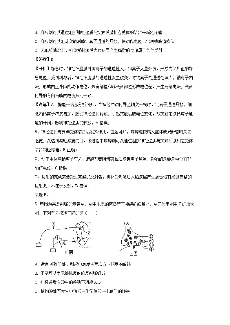四川省成都市郫都区2024-2025学年高二上学期期中考试生物试卷（解析版）第3页