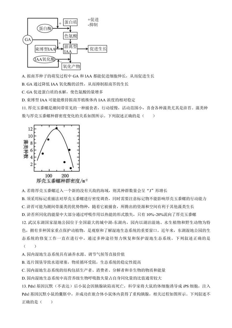 2024～2025学年湖北省市级示范高中智学联盟高三(上)12月联考(月考)生物试卷(含答案)第3页