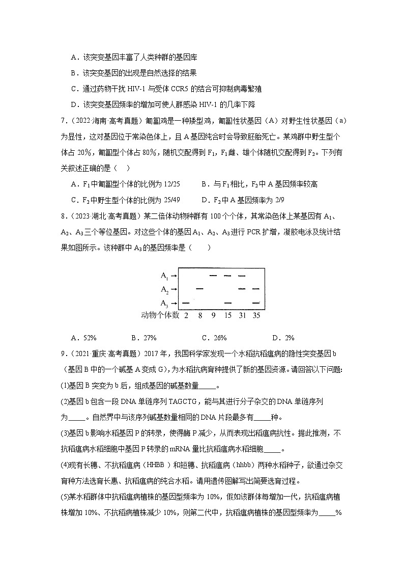 人教版（2019）高中生物必修二《遗传与进化》第6章生物的进化6.3.1《种群基因组成的变化》-分层作业（解析版）第2页