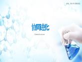 人教版（2019）高中生物必修二6.4《協(xié)同進(jìn)化與生物多樣性的形成》課件