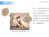 人教版（2019）高中生物必修二6.4《協(xié)同進(jìn)化與生物多樣性的形成》課件