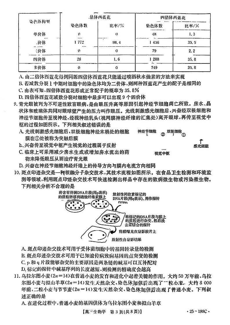 广东省金太阳2025届高三上学期12月联考-生物试卷+答案第3页