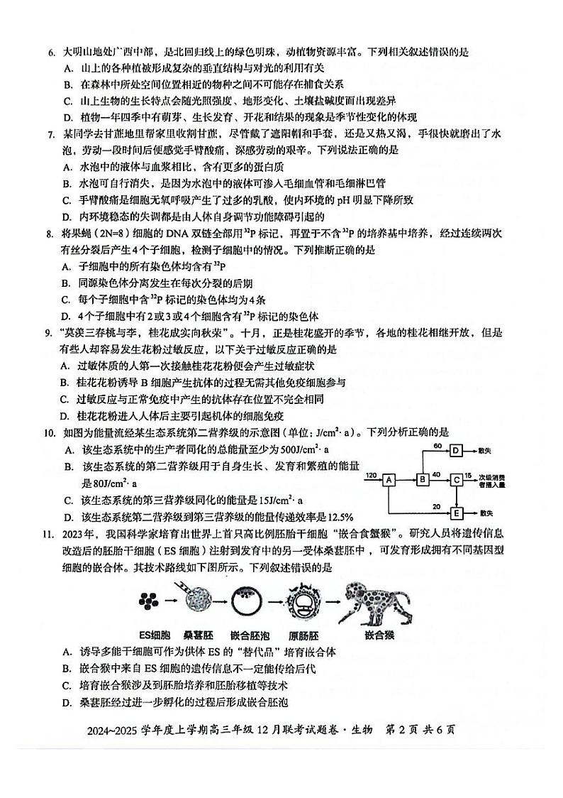 广西壮族自治区邕衡教育 名校联盟2025届高三上学期12月考-生物试卷+答案第2页
