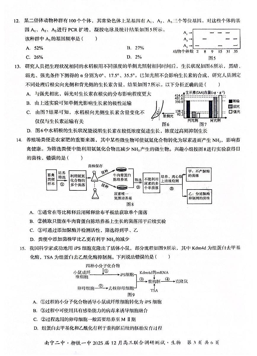 广西南宁二中、柳铁一中2025届高三上学期12月联合调研-生物试卷+答案第3页