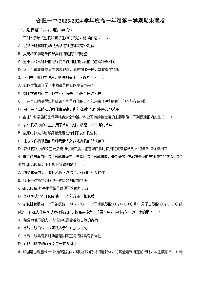 安徽省合肥市一中2023-2024学年高一上学期期末生物试题第1页