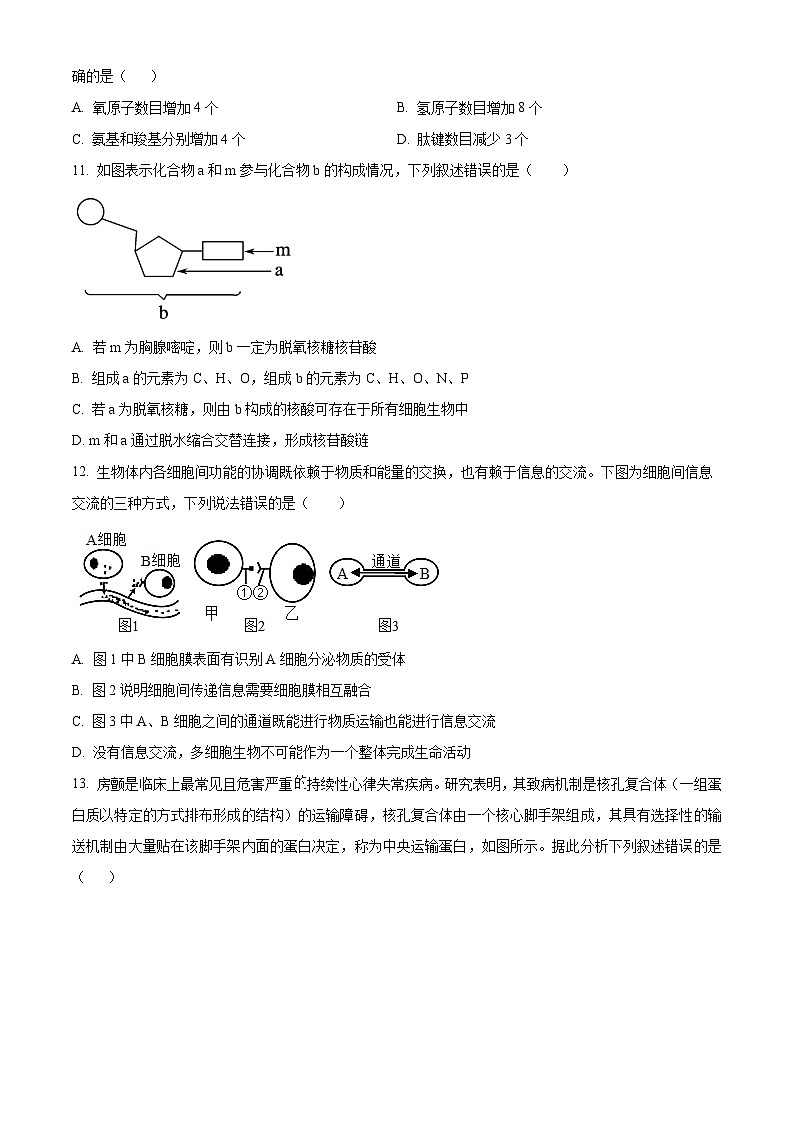吉林省长春市东北师大附中2023-2024学年高一上学期期末生物试题第3页