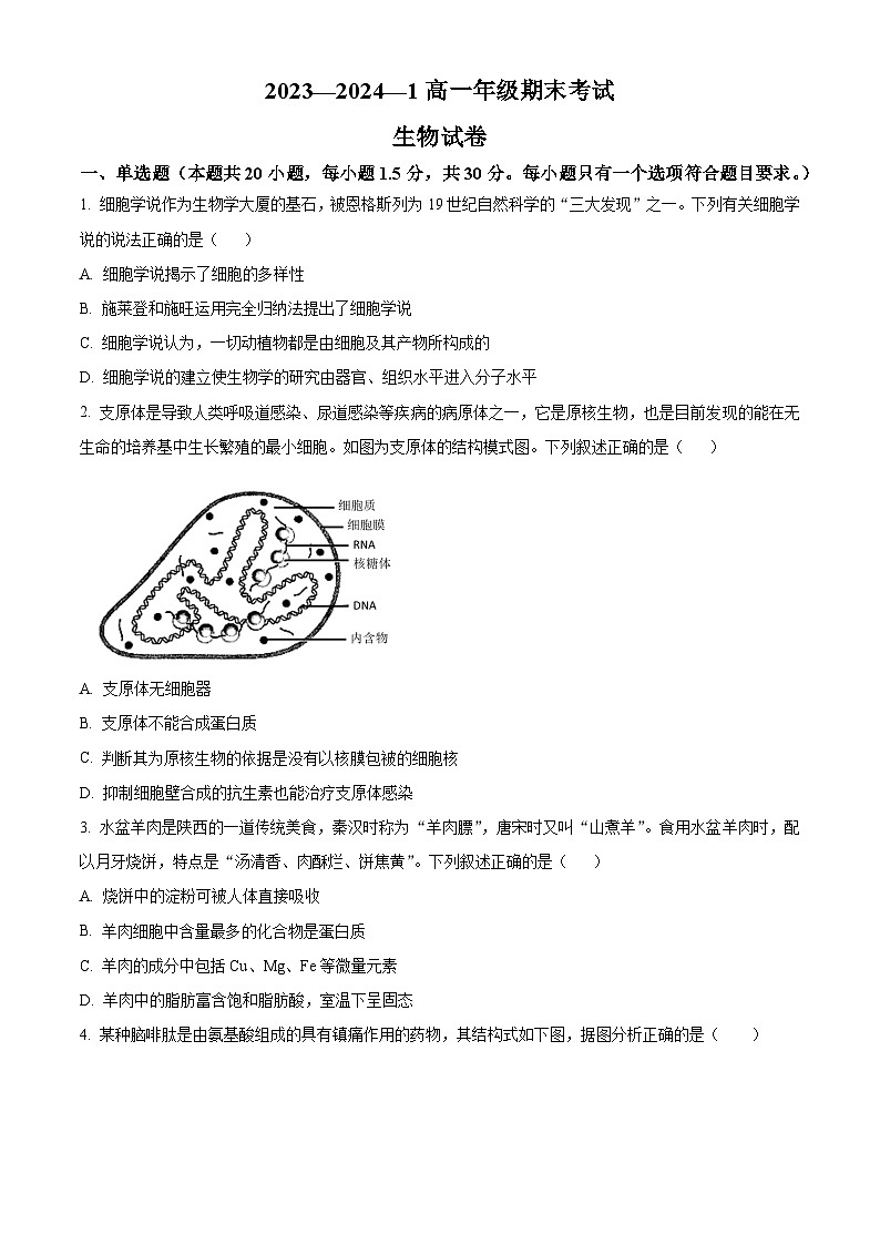 陕西省西安铁一中学2023-2024学年高一上学期期末生物试题第1页