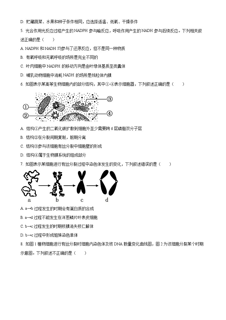 天津市和平区耀华中学2023-2024学年高一上学期期末生物试题第2页