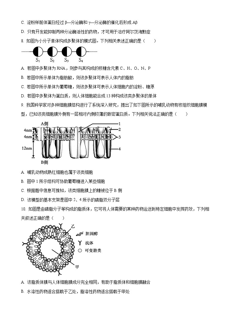 重庆市巴蜀中学校2023-2024学年高一上学期期中生物试题第3页