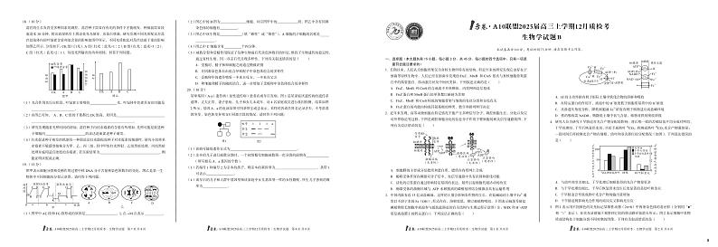 （B卷）1号卷·A10联盟2025届高三上学期12月质检考生物学B试卷第1页