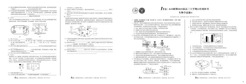 （C卷）1号卷·A10联盟2025届高三上学期12月质检考生物学C试卷第1页