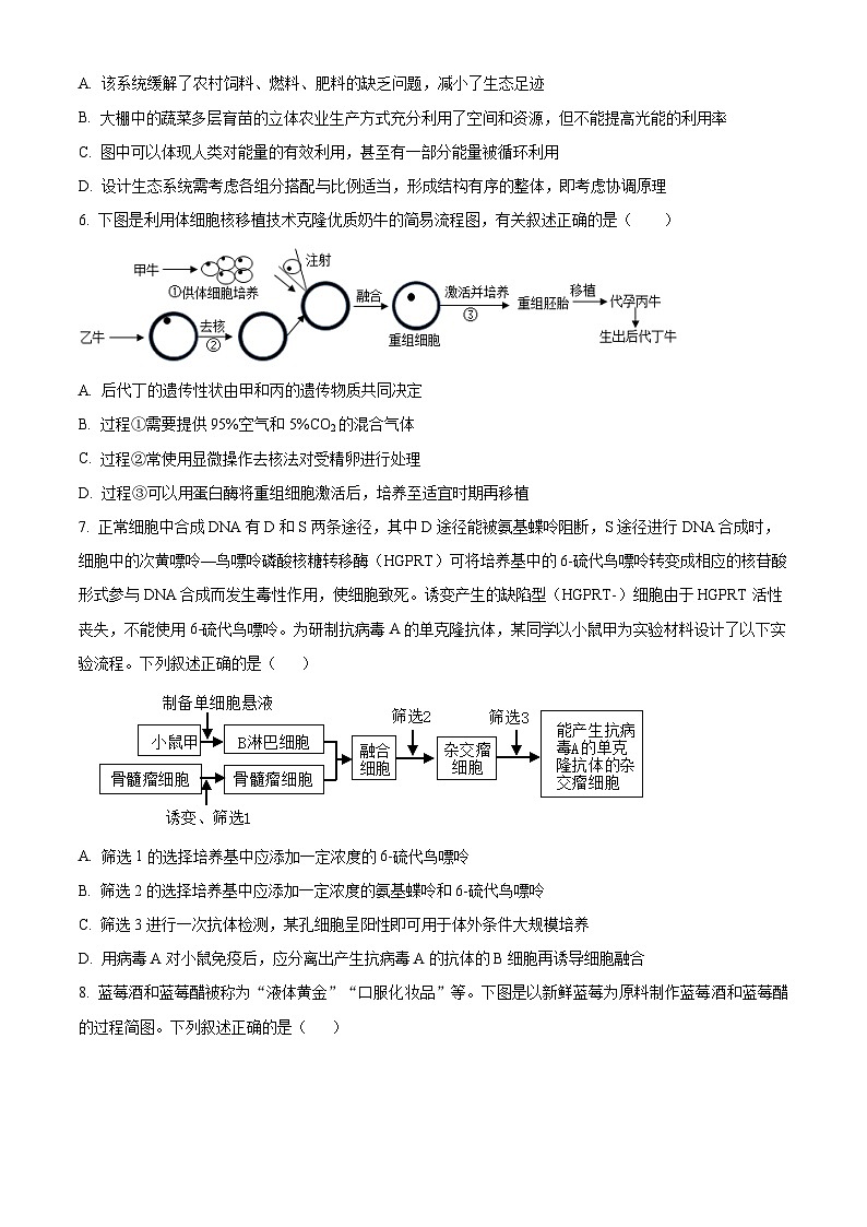 江西省丰城市丰城中学2023—2024学年高二下学期期中考试生物试题第2页