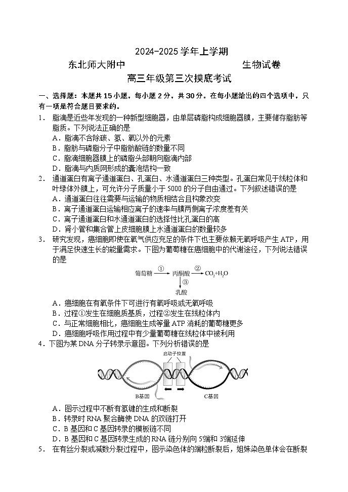 2024—2025 学年上学期东北师大附中高三年级第三次摸底考试生物试卷第1页