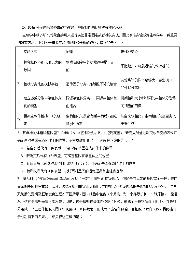 四川省成都列五中学2024-2025学年高三上学期12月月考生物第2页
