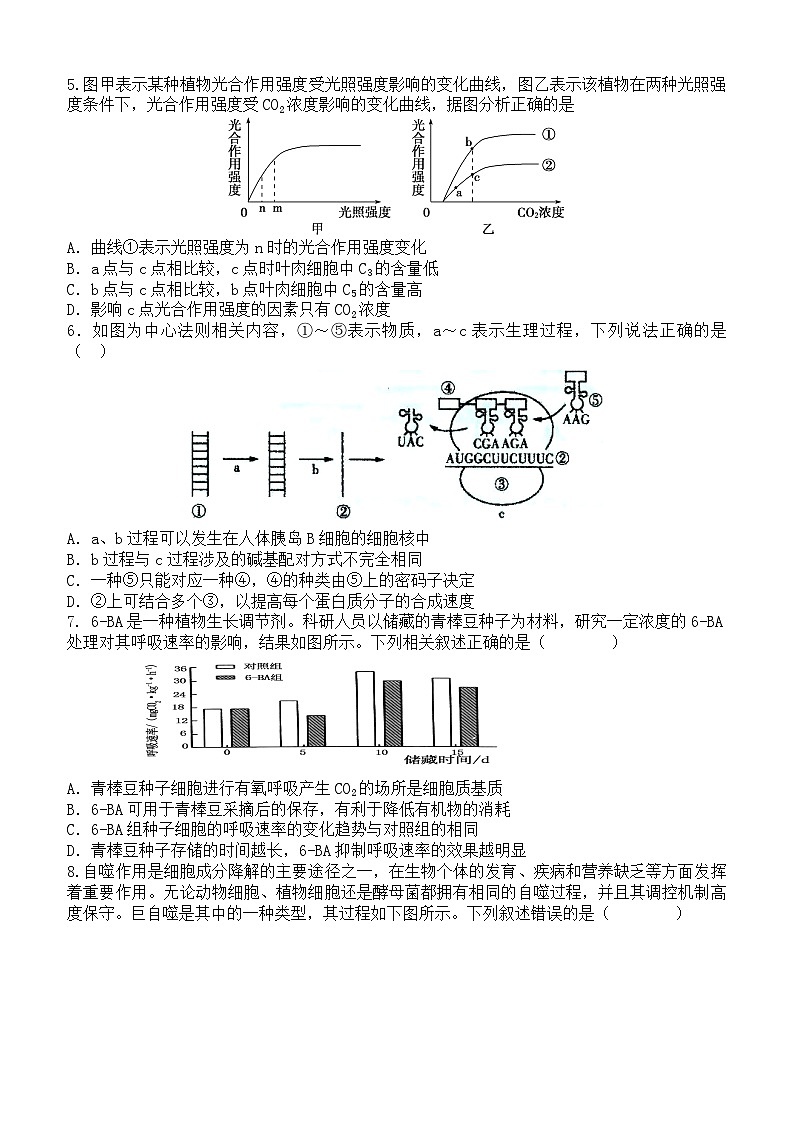 广东省东莞市七校联考2024-2025学年高三上学期12月月考生物第2页