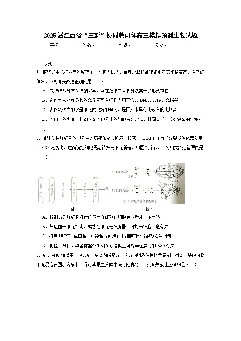 2025届江西省“三新”协同教研体高三模拟预测生物试题第1页