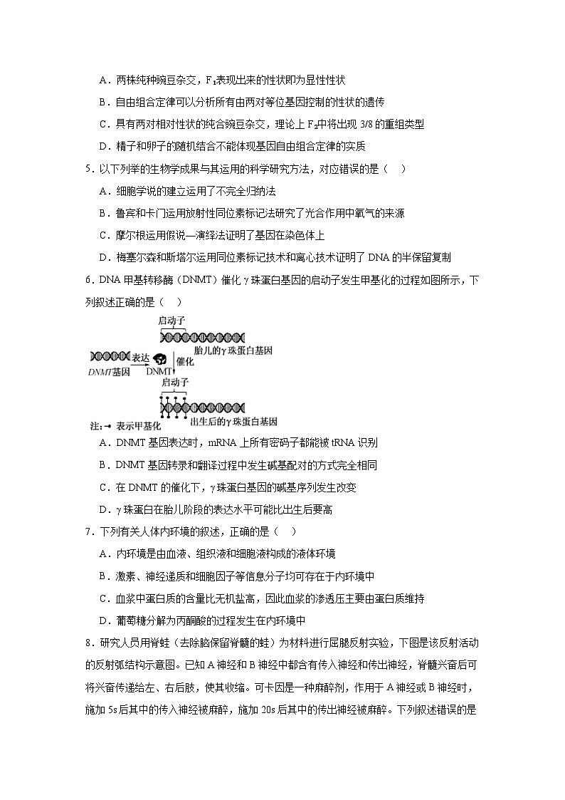 河南省TOP二十名校2024—2025学年高三上学期调研考试（三）生物试题第2页