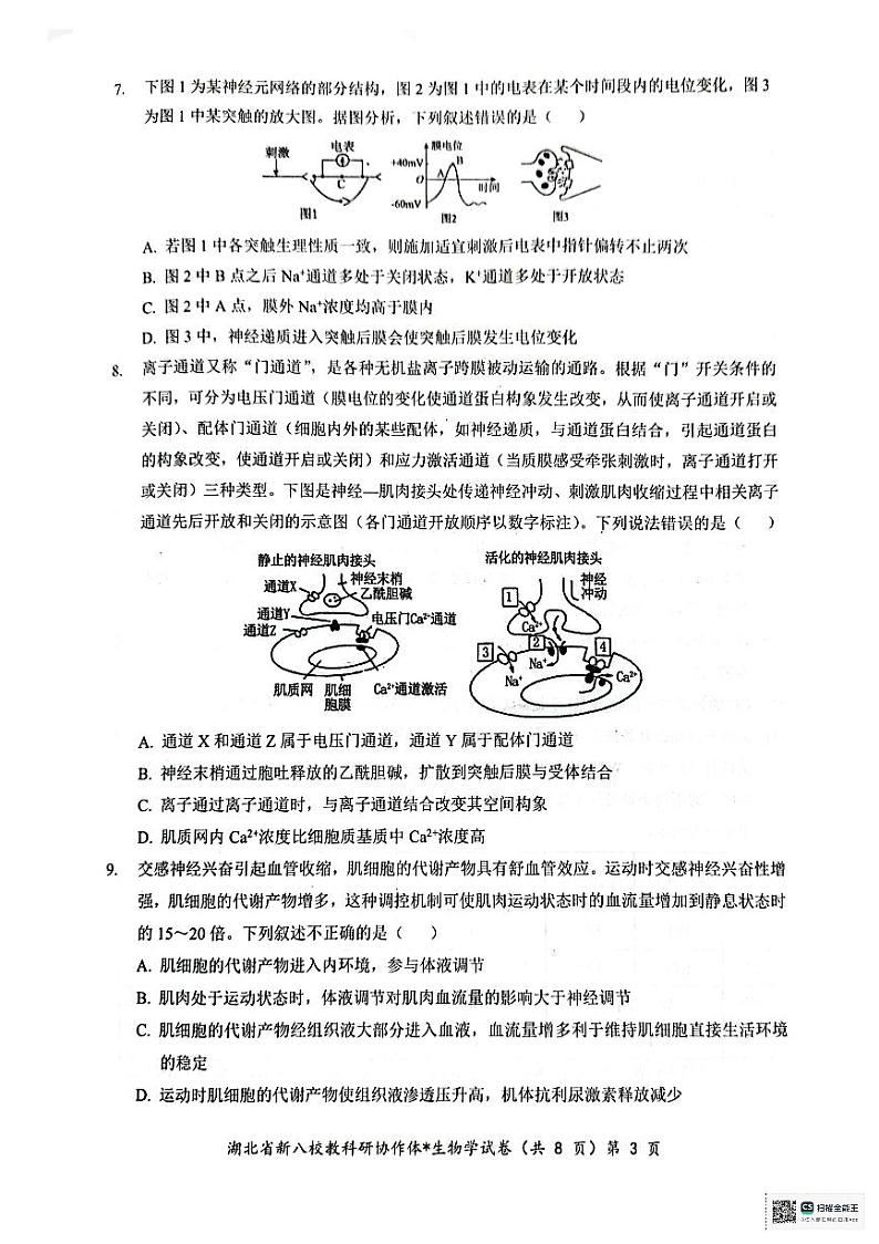 τöƒτë⌐Φ»òσì╖第3页