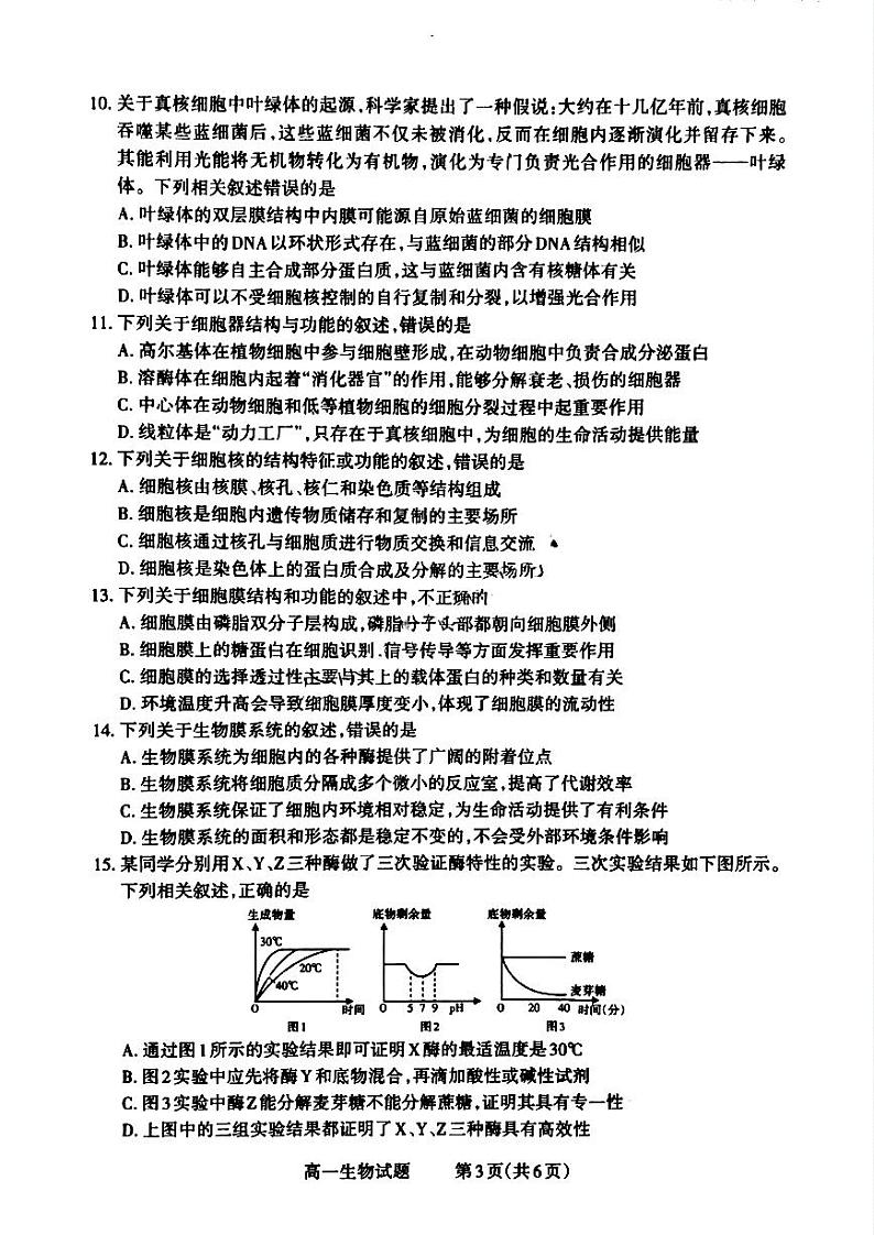 2025晋城高一上学期12月选科调研考试生物试题扫描版含答案第3页