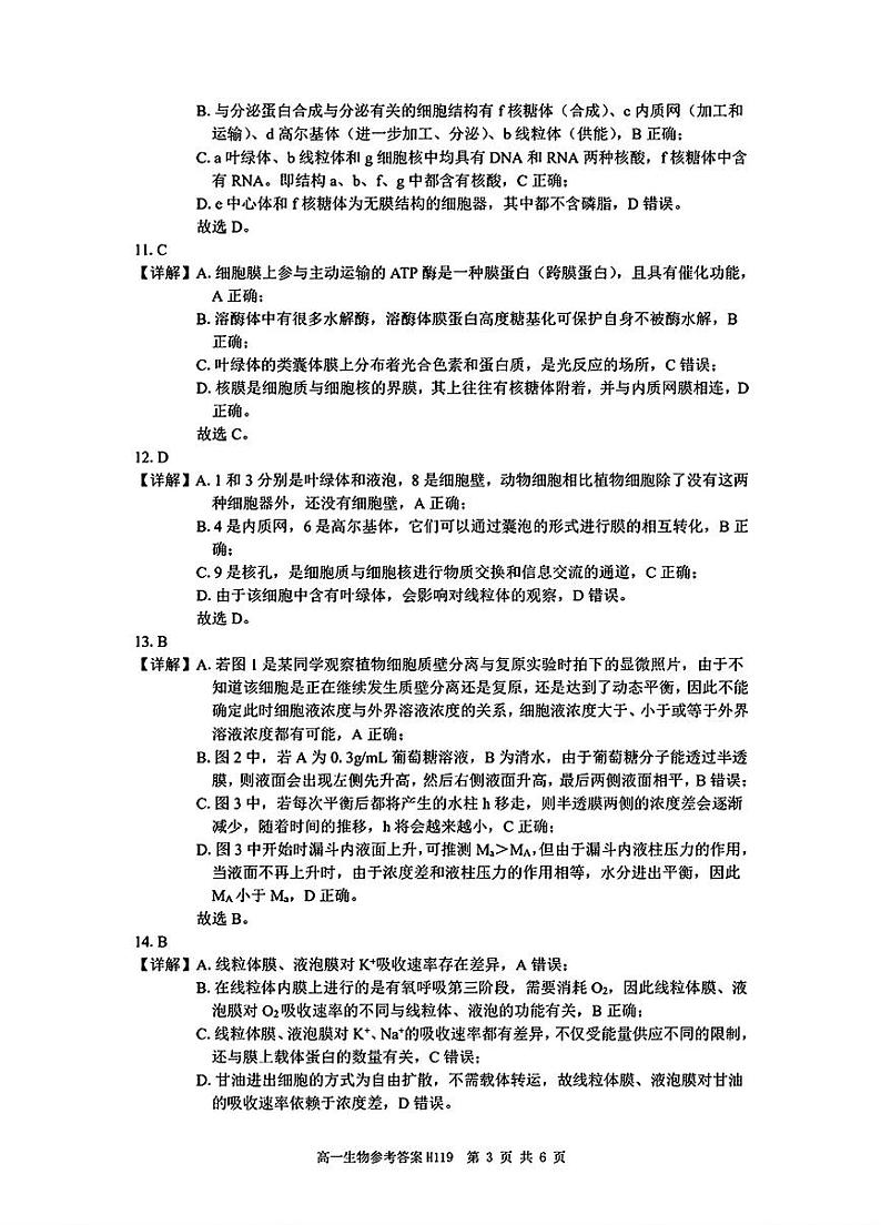 生物答案第3页