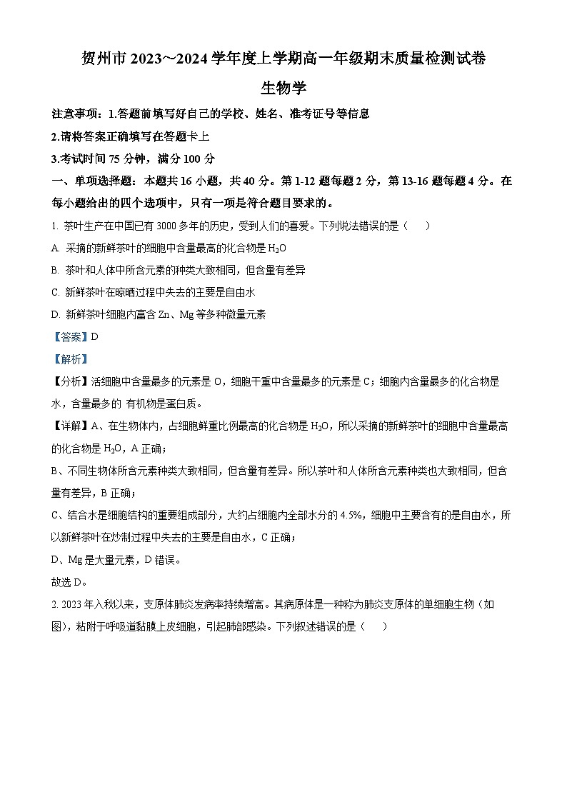 广西壮族自治区贺州市2023-2024学年高一上学期期末考试生物试题含解析第1页