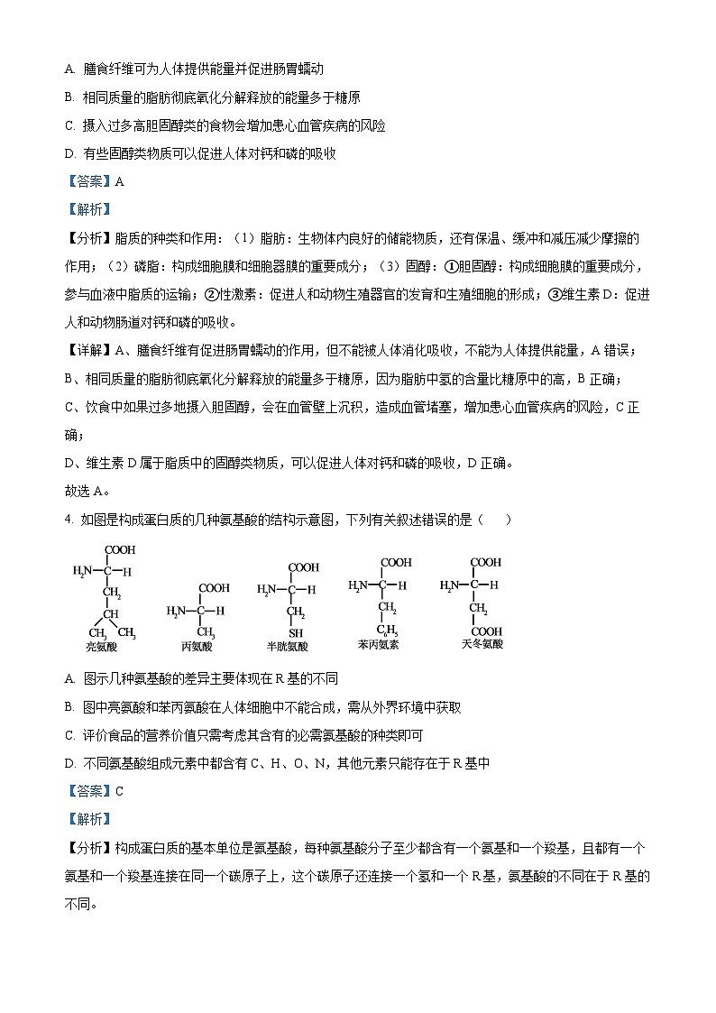 河北省沧州市四县联考2024-2025学年高一上学期11月月考生物试题含解析第3页