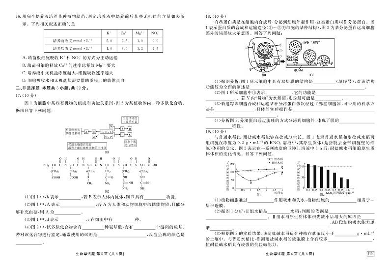 河南部分重点中学2024-2025学年度高一年级上学期12月联考生物试卷及答案第3页