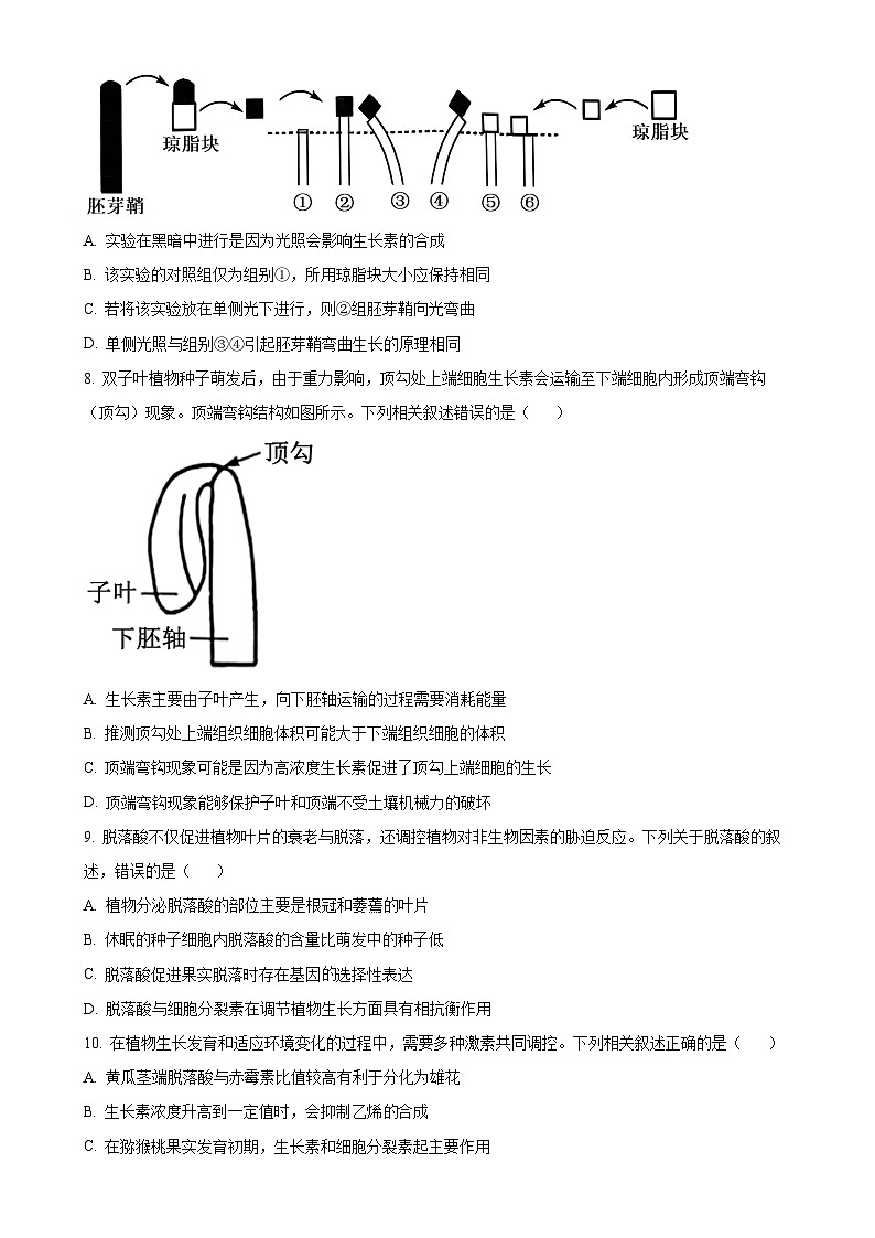 陕西省榆林市榆阳区榆林市镇川中学2024-2025学年高二上学期11月期中生物试题（原卷版）-A4第3页