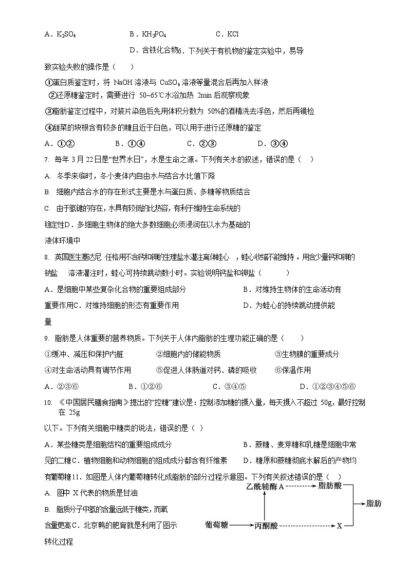 安徽省阜阳市第三中学2024-2025学年高一上学期12月期中生物试题-A4第2页