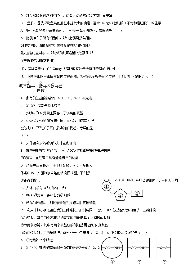 安徽省阜阳市第三中学2024-2025学年高一上学期12月期中生物试题-A4第3页