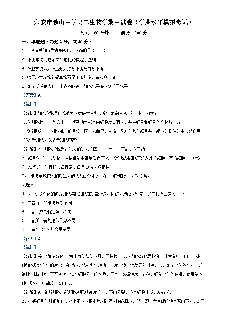 安徽省六安市裕安区六安市独山中学2024-2025学年高二上学期11月期中生物试题（解析版）-A4第1页