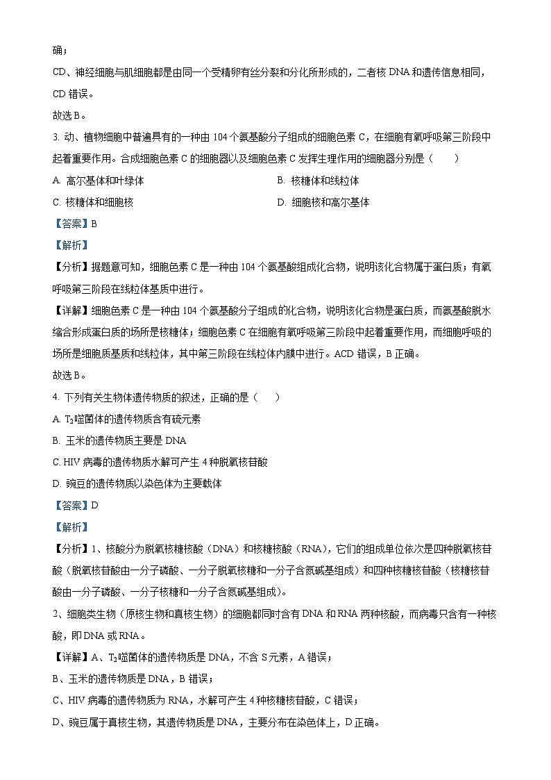 安徽省六安市裕安区六安市独山中学2024-2025学年高二上学期11月期中生物试题（解析版）-A4第2页