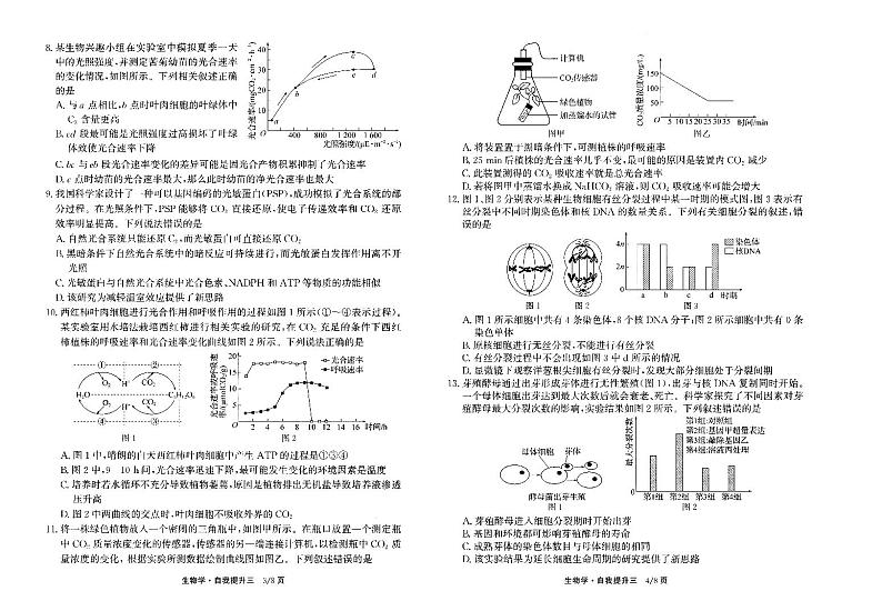 河北省衡水市冀州区河北冀州中学2025届高三上学期12月考-生物试卷+答案第2页