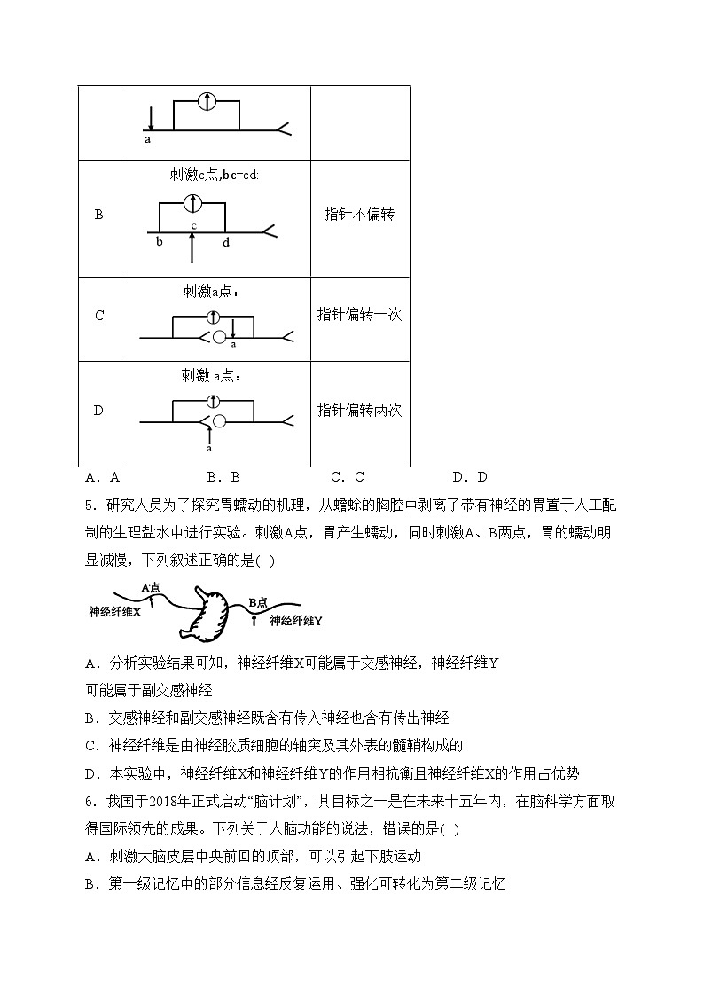安徽省皖南八校2024-2025年高二上学期期中考试生物试卷(含答案)第2页