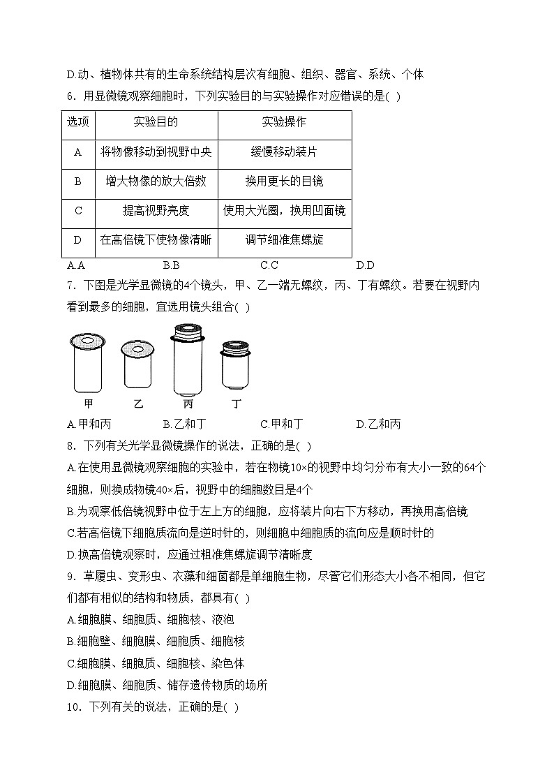 成都市郫都区绵实外国语学校2024-2025学年高一上学期10月月考生物试卷(含答案)第2页
