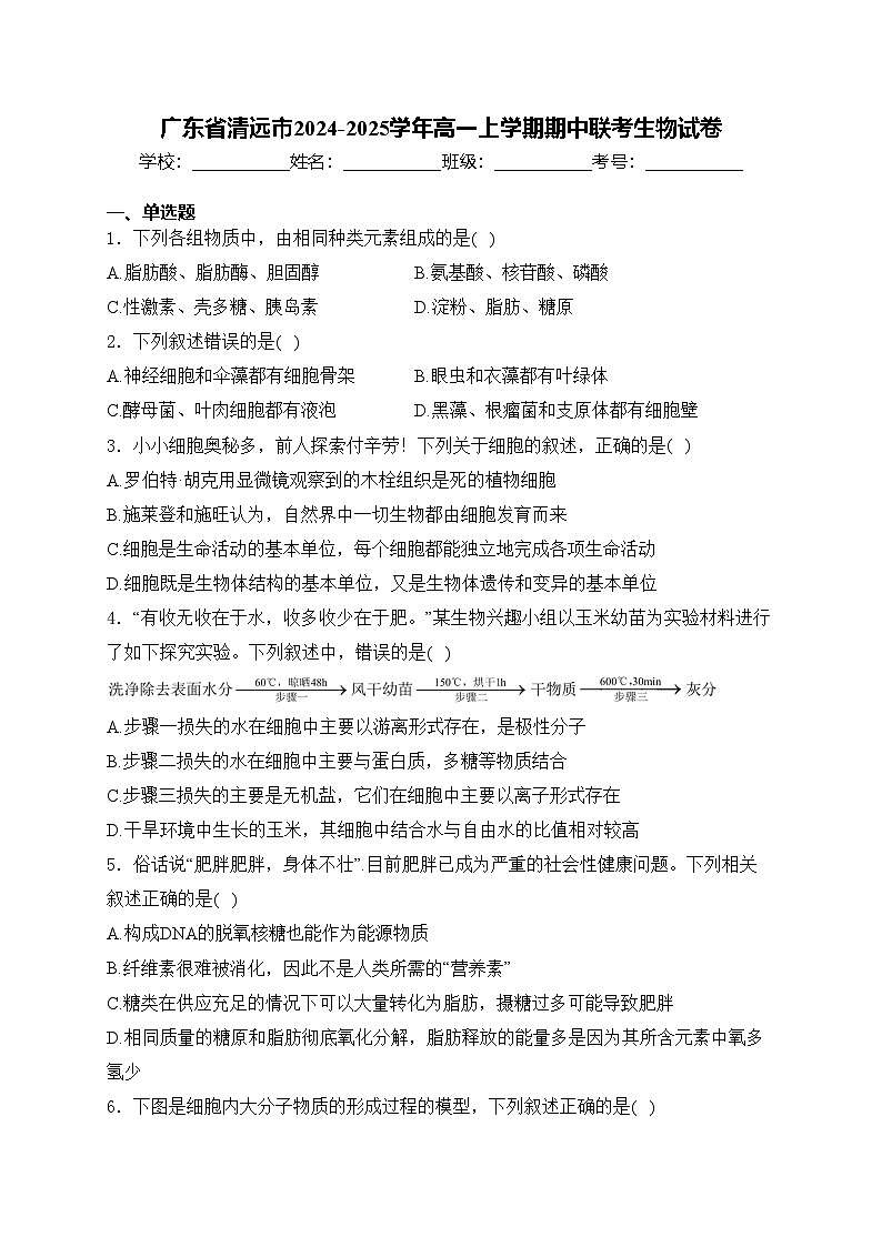 广东省清远市2024-2025学年高一上学期期中联考生物试卷(含答案)第1页