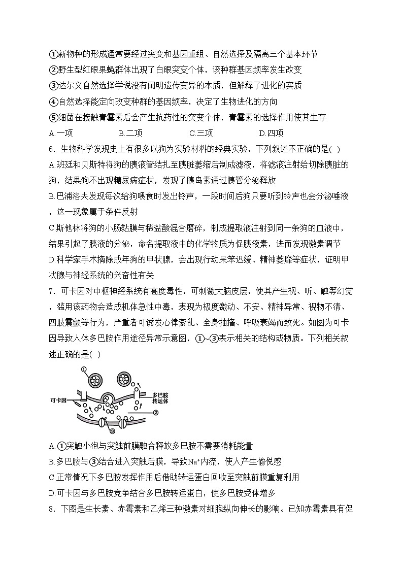 广西新课程教研联盟2025届高三上学期11月联考生物试卷(含答案)第2页