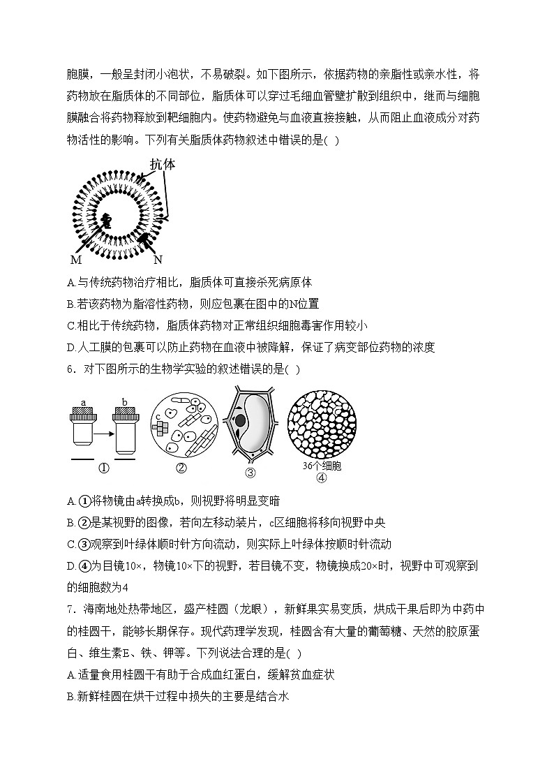 海南省先锋联盟2024-2025学年高一上学期11月期中考试生物试卷(含答案)第2页