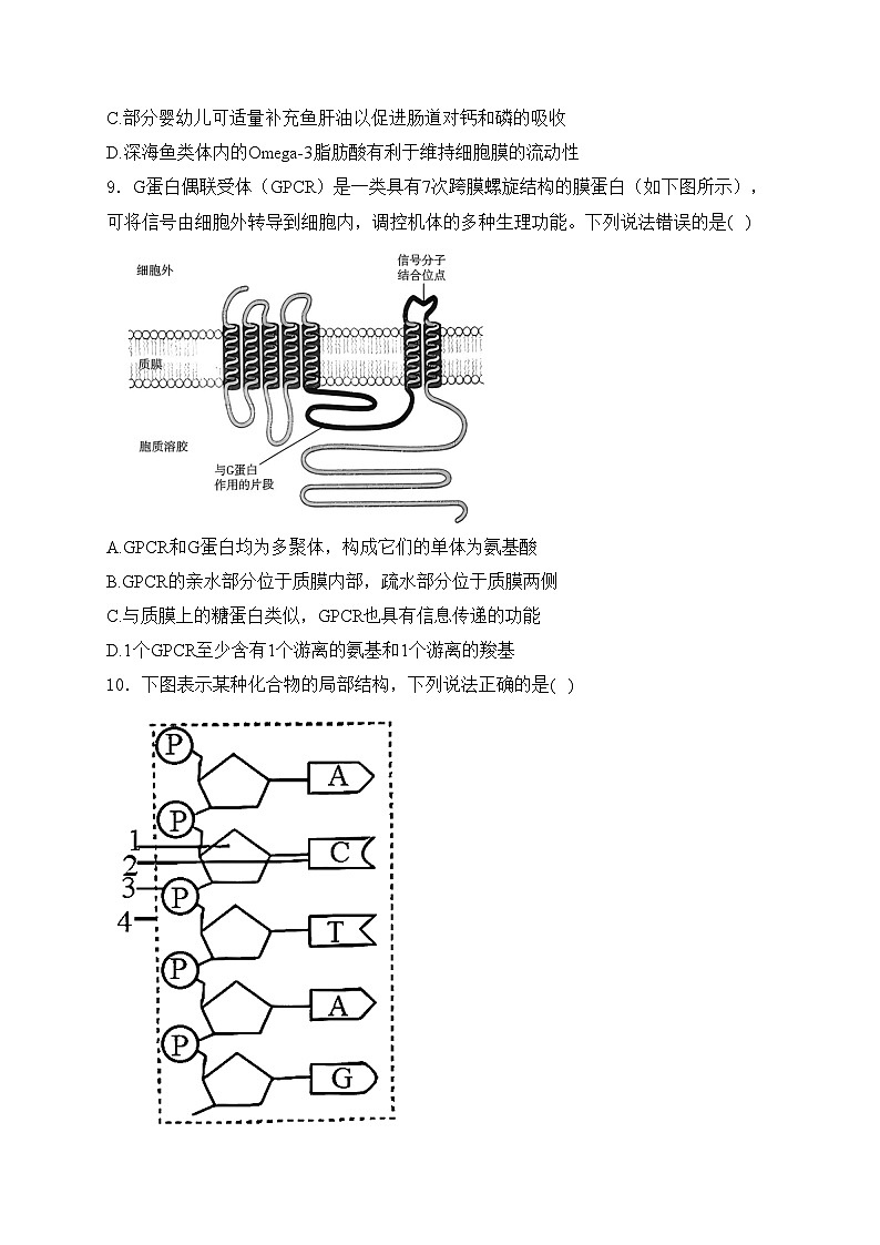 河南省部分学校2024-2025学年高一上学期11月期中联考生物试卷(含答案)第3页