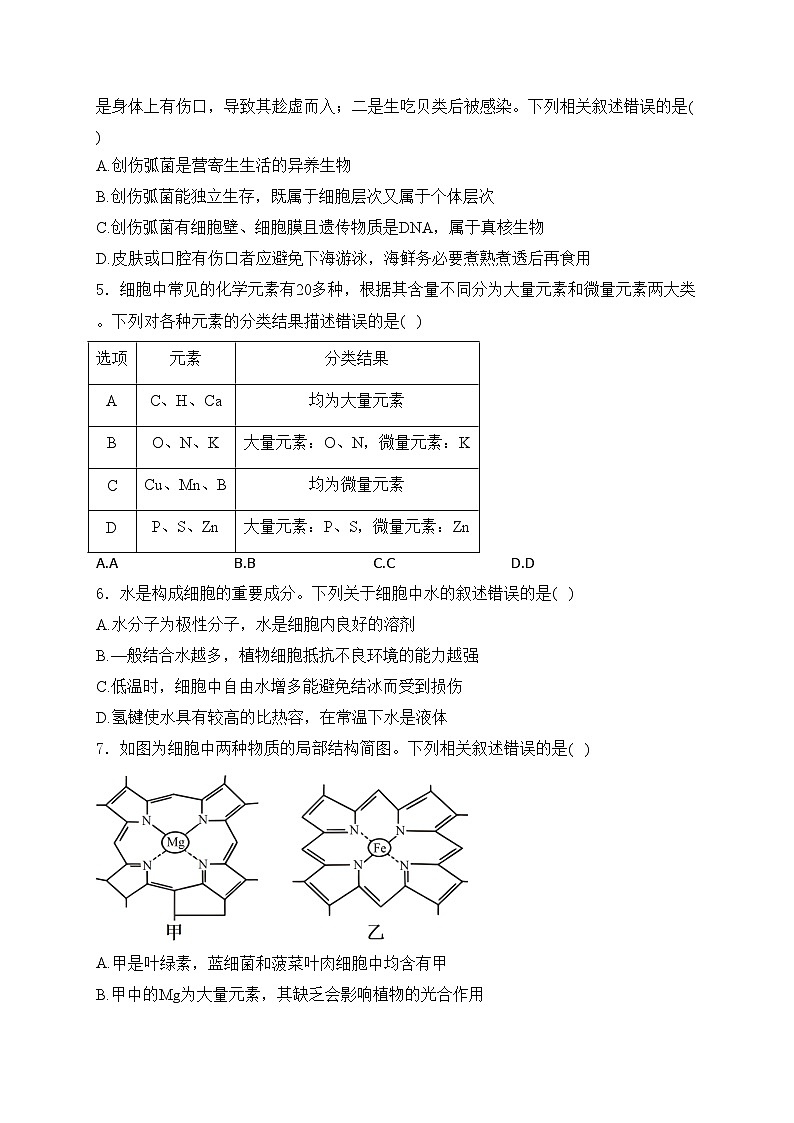 河南省商师大联考2024-2025学年高一上学期期中考试生物试卷(含答案)第2页