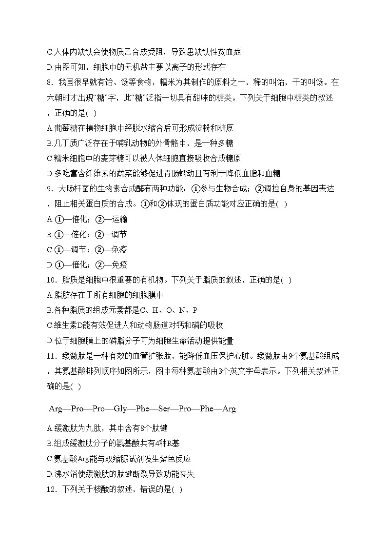 河南省商师大联考2024-2025学年高一上学期期中考试生物试卷(含答案)第3页