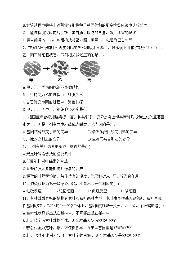 黄梅县育才高级中学2025届高三上学期12月月考生物试卷(含答案)第2页
