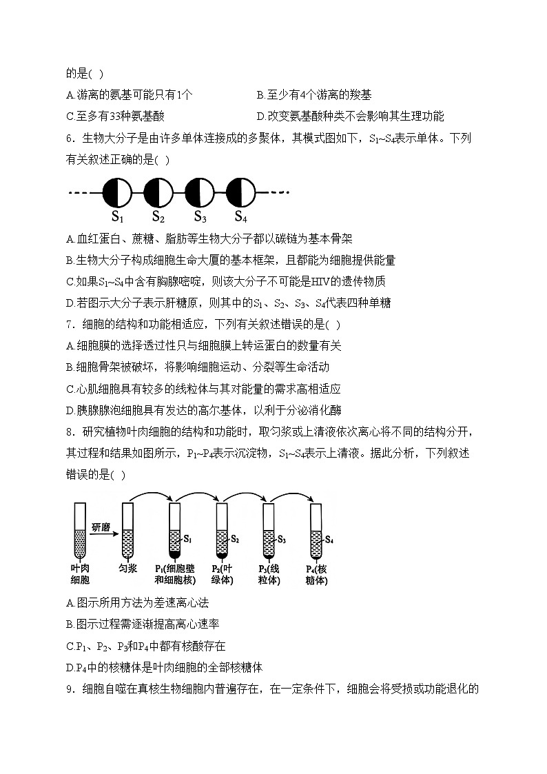 辽宁省普通高中2024-2025学年高一上学期12月联合考试生物试卷(含答案)第2页